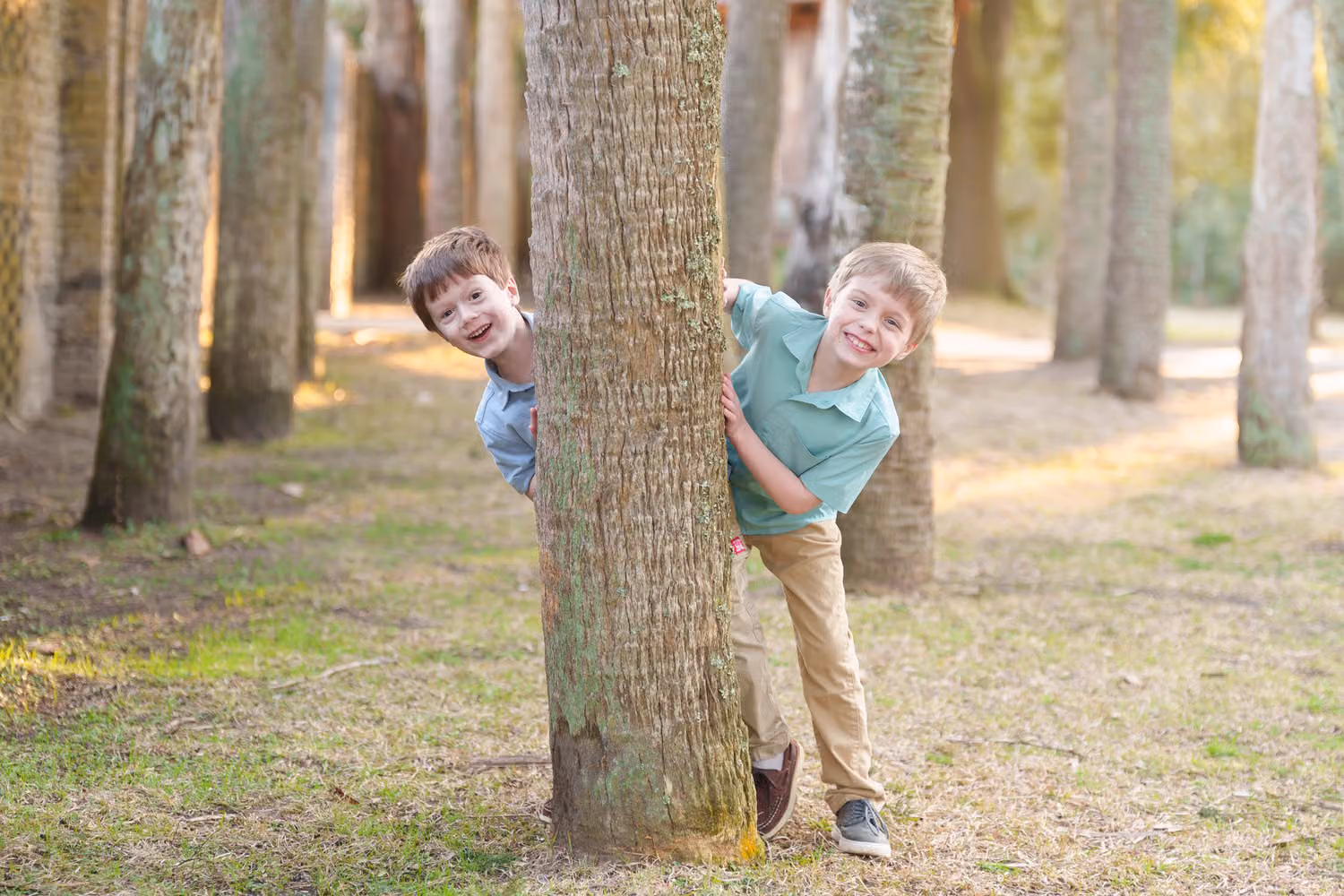 Two young brothers peeking out from behind palm tree trunks in a shady grove at Huntington Beach State Park