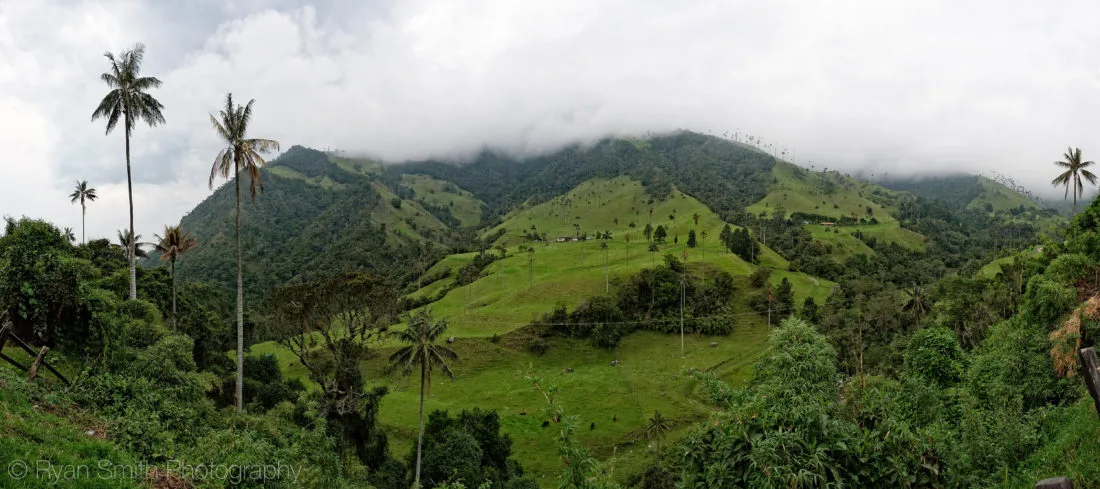Hiking in the valley of Wax Palms, Colombia
