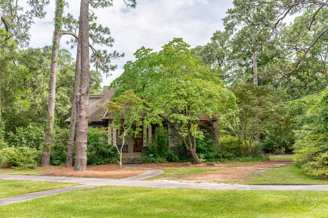 The Holiday Cottage among tall pines and oaks at Brookgreen Gardens