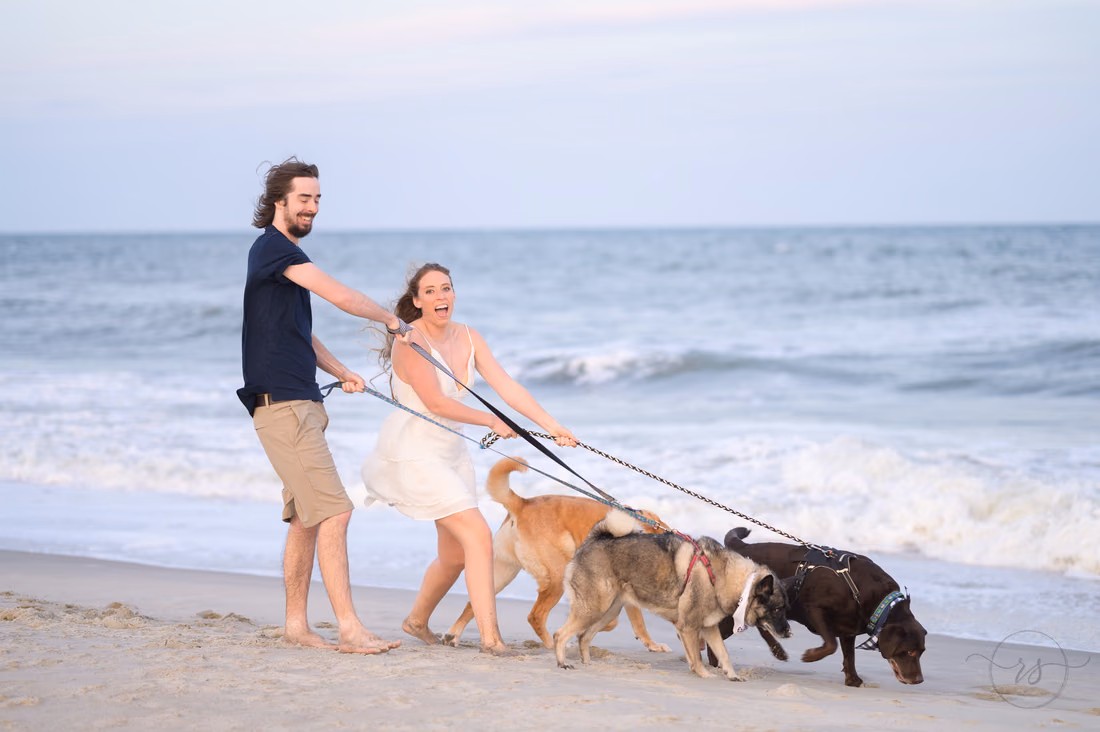 The three dogs pulling the couple along the beach on their leashes - Huntington Beach State Park
