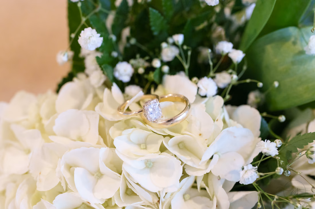 Rings on the flowers - Pawleys Plantation