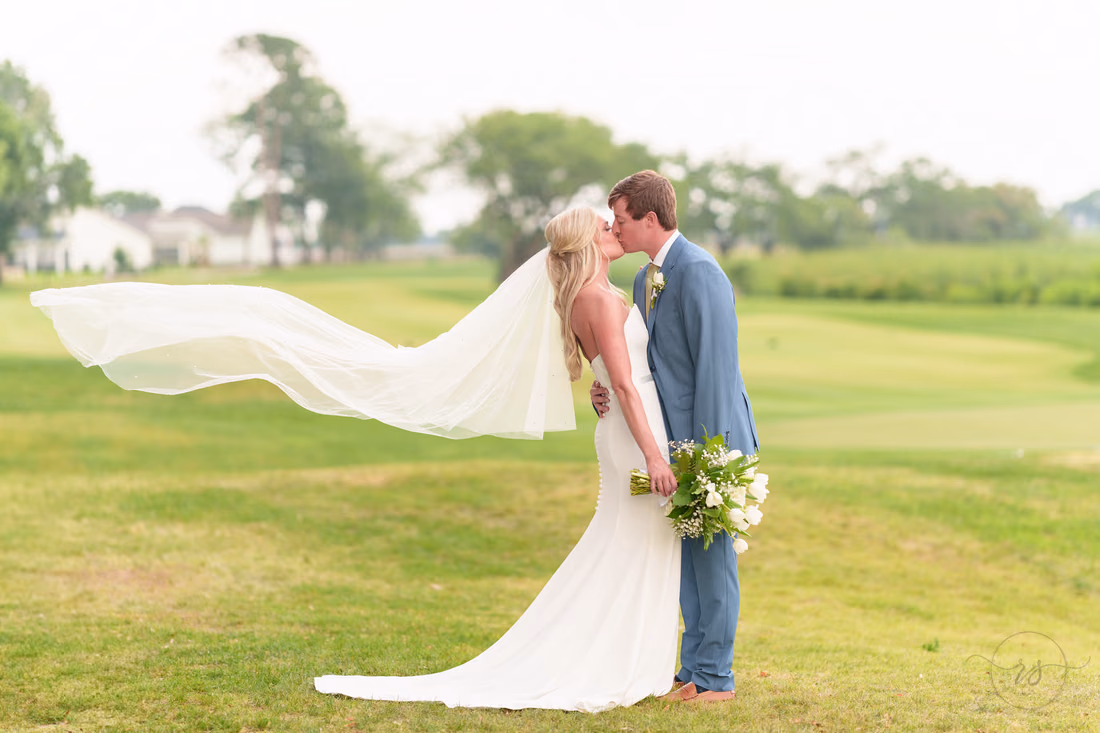 Veil blowing in the wind on a cloudy day - Pawleys Plantation