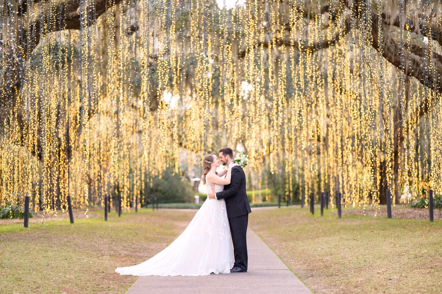 Bride and groom under hanging lights on the Live Oak Allee during Night of a Thousand Candles at Brookgreen Gardens