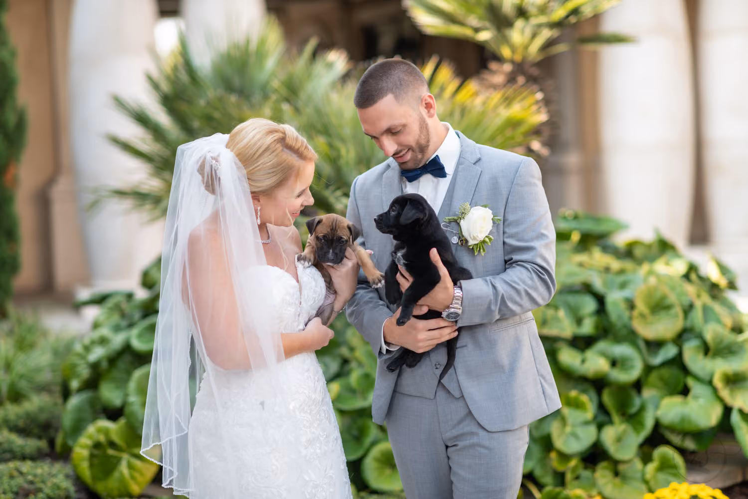 Bride and groom in a gray suit each holding a puppy and smiling in the garden at 21 Main Events