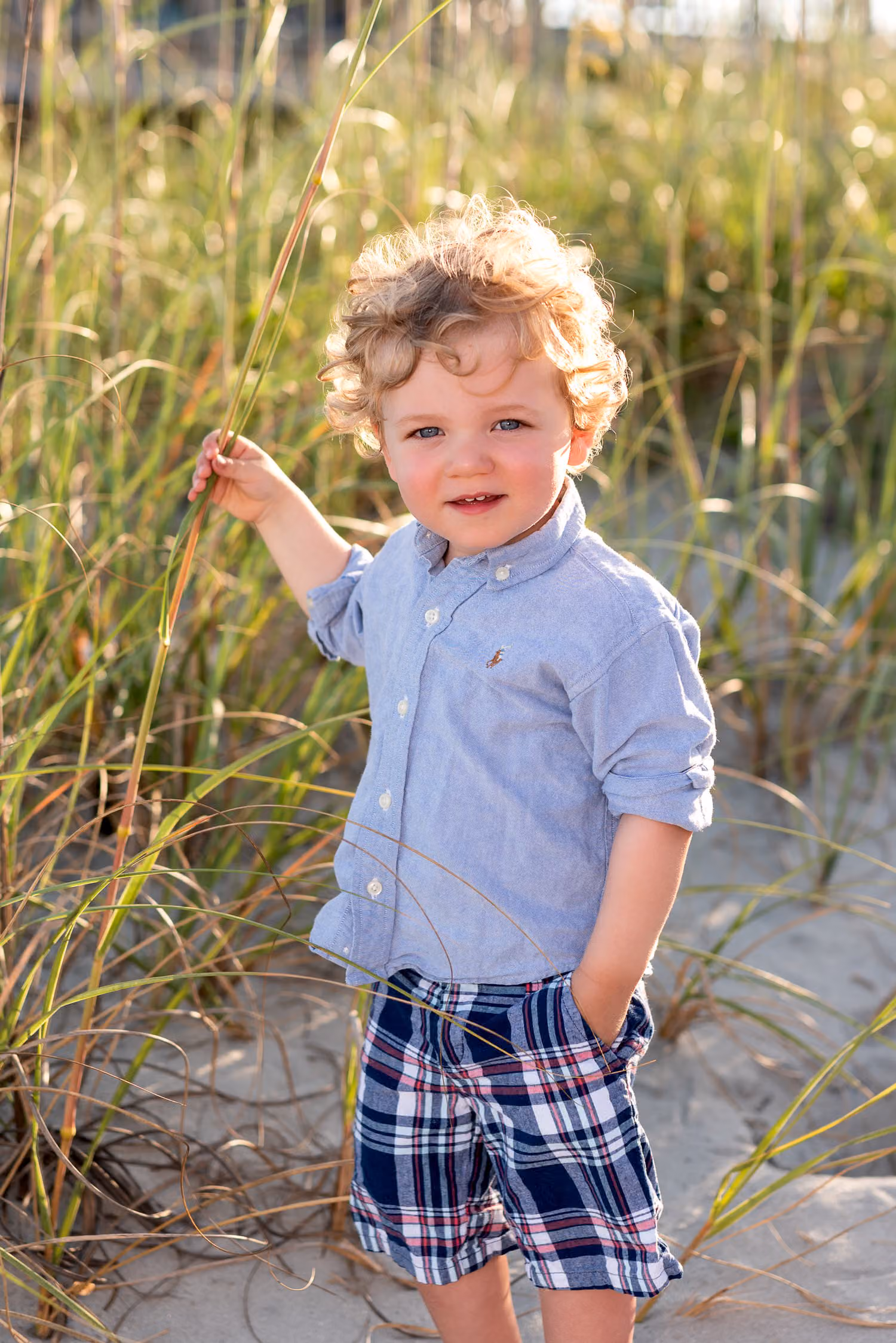 Little boy with curly hair in a blue shirt and plaid shorts standing among the sea oats in warm light