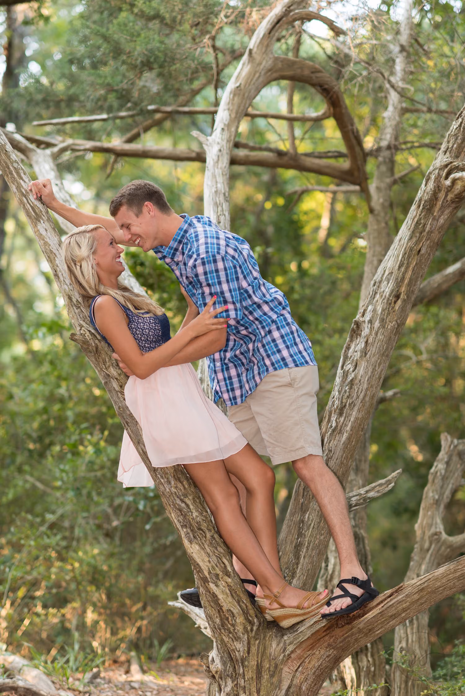 Couple climbing into the branches of an old twisted tree and leaning in close at Myrtle Beach State Park
