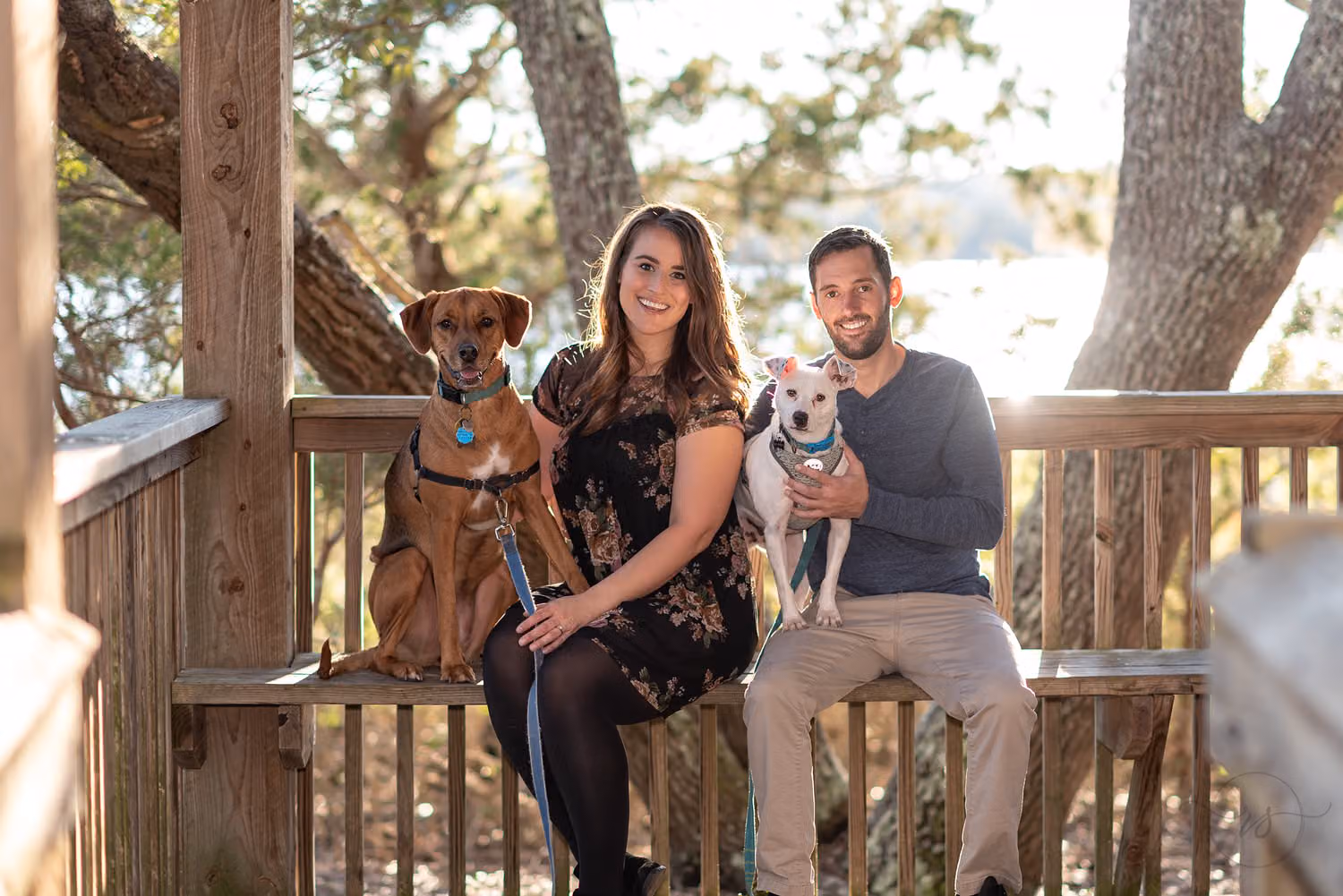 Couple sitting on a wooden bench in a shelter with their two dogs at Vereen Memorial Gardens
