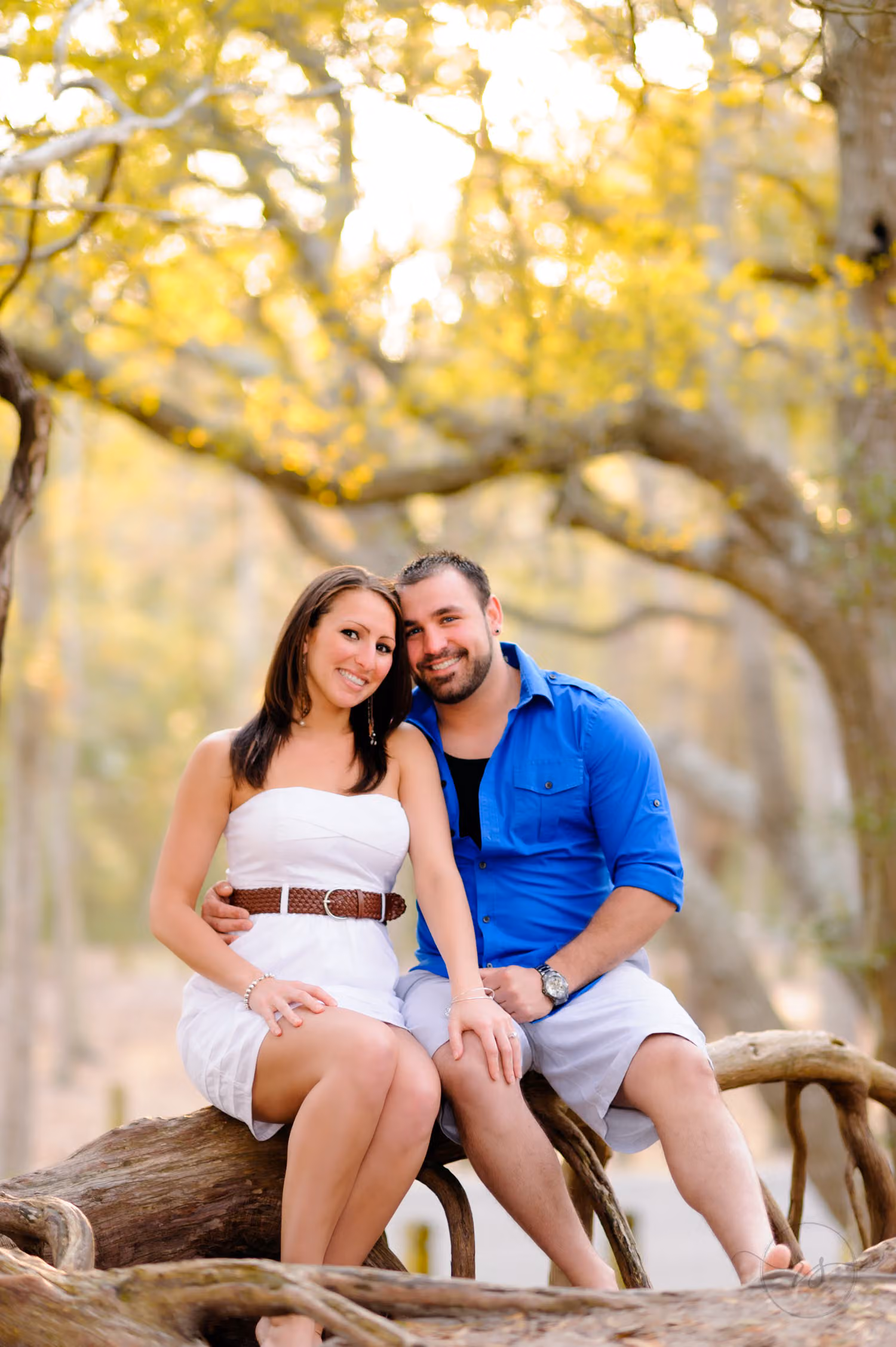 Couple sitting together on twisting tree roots with soft light coming through the oak branches at Myrtle Beach State Park