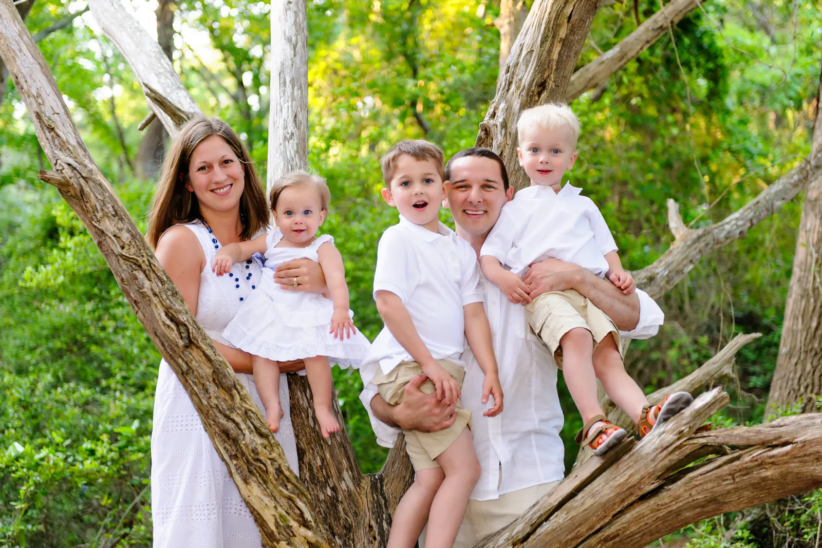 Family holding kids in the old tree - Myrtle Beach State Park