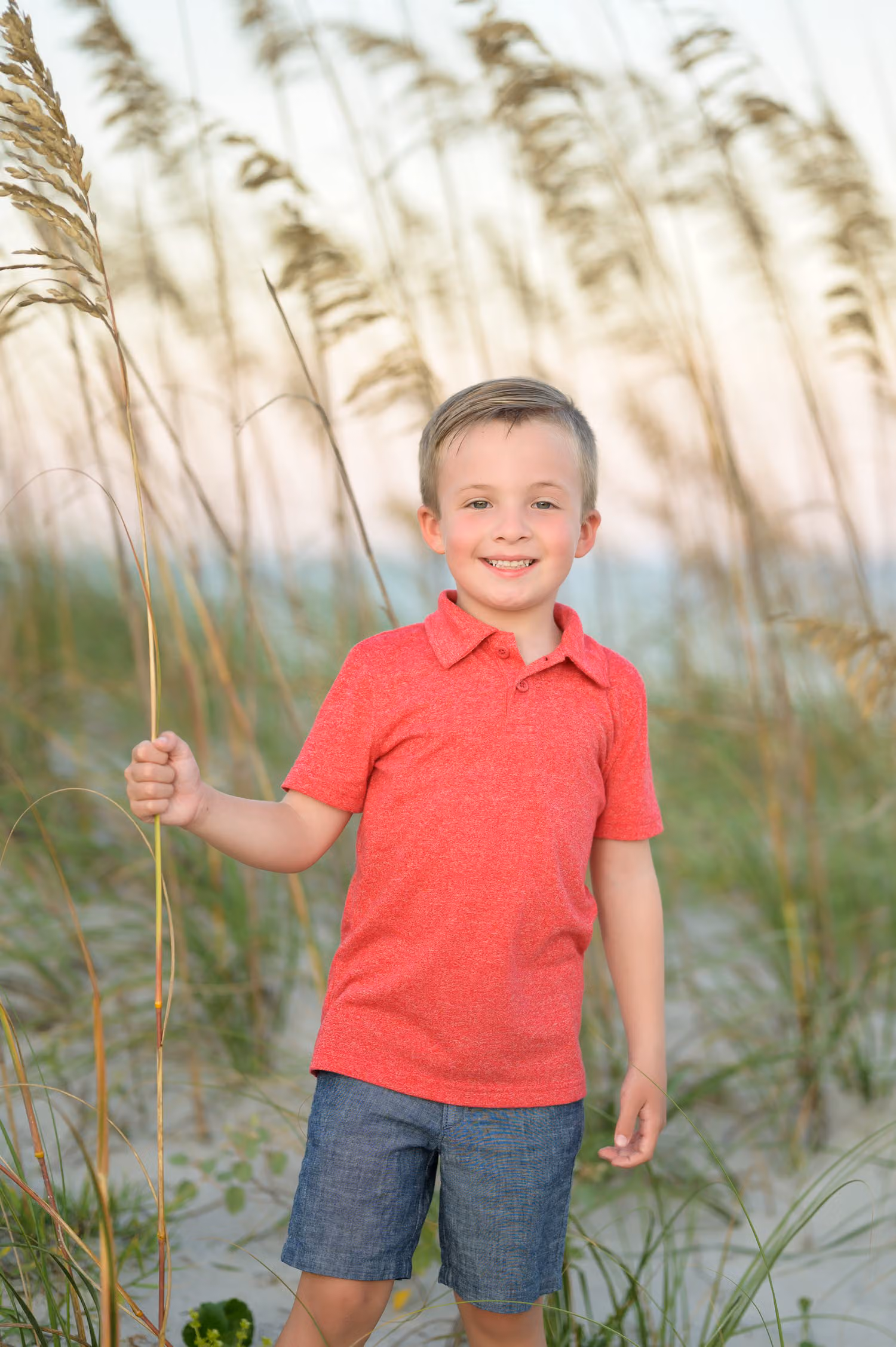 Little boy in a red shirt holding a sea oat stalk as he stands among the sea oats at Huntington Beach State Park