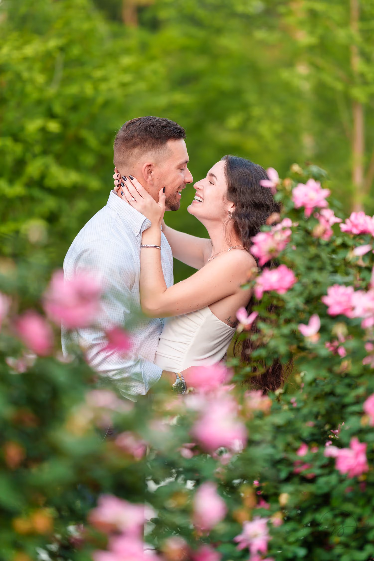 Couple laughing face to face beside a bush of pink roses at the Conway Riverwalk