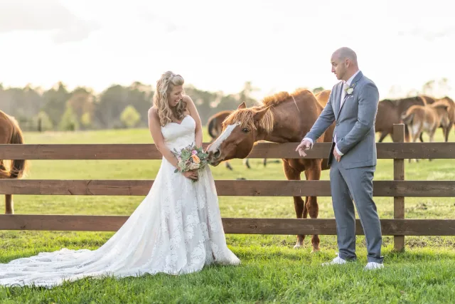 Horse nibbling at the bride's bouquet over the fence at Wildhorse at Parker Farms
