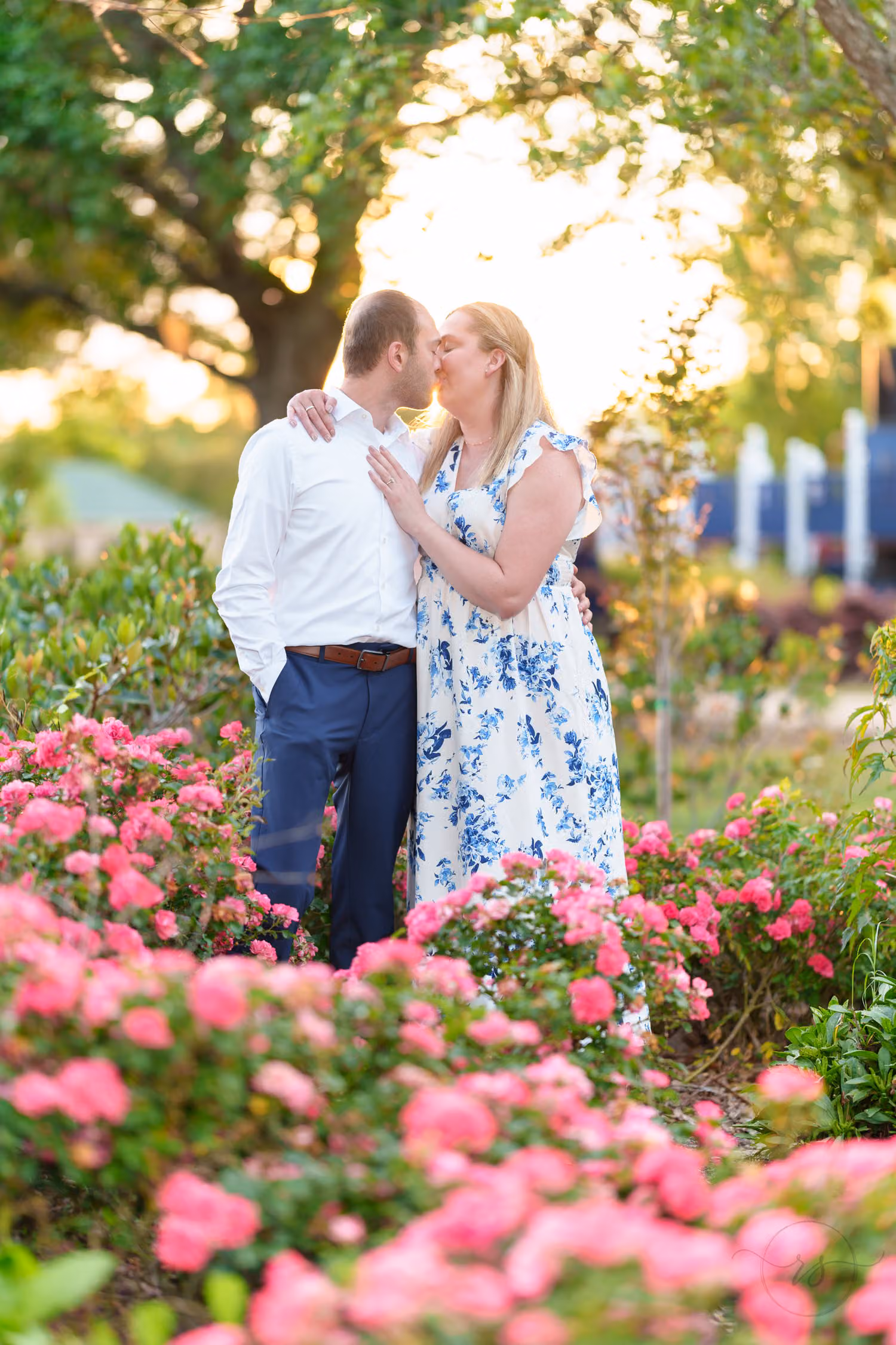 Couple kissing behind a bed of bright pink roses in warm evening light along the Conway Riverwalk