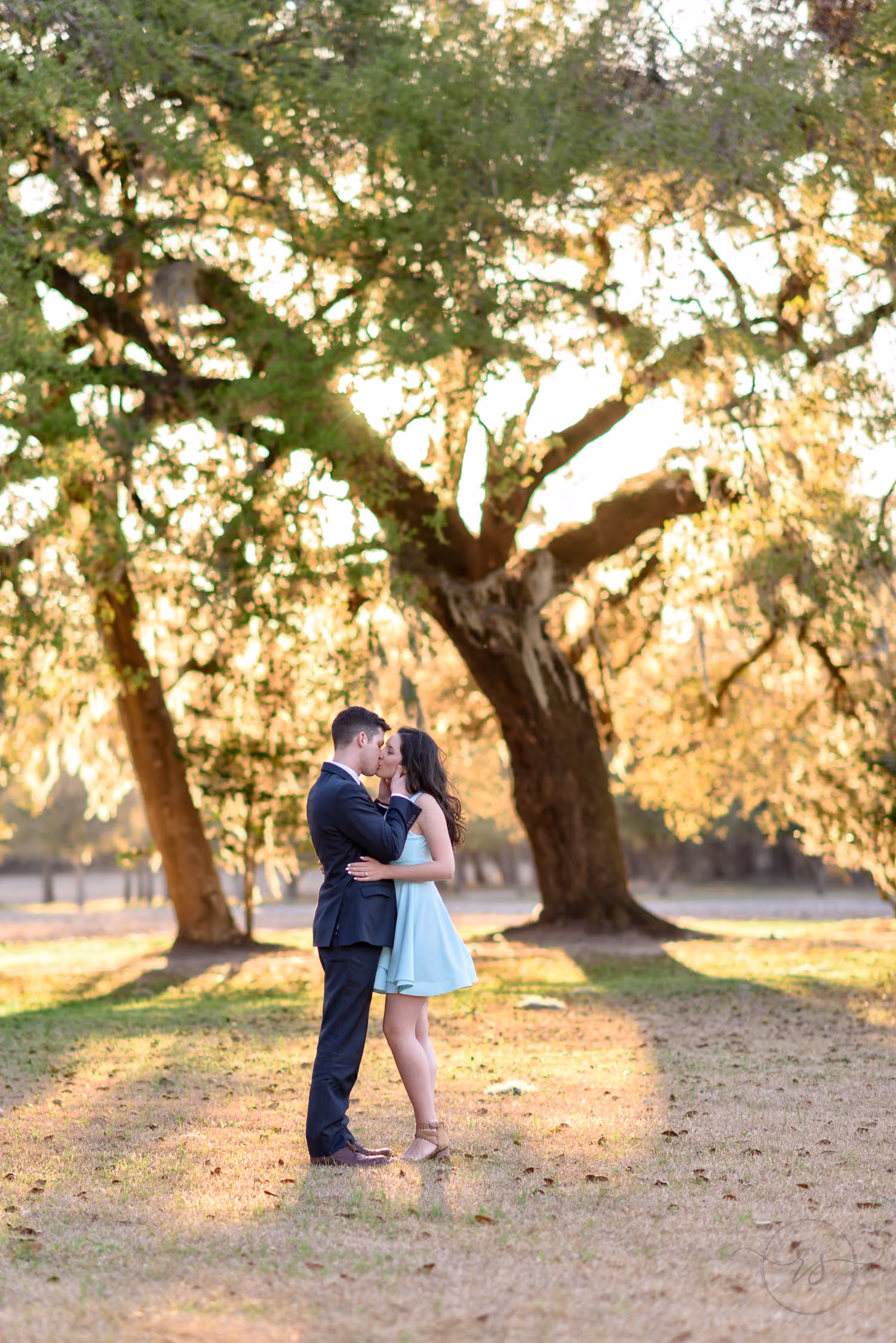 Couple kissing beneath a spreading oak tree with warm sunset light on the grass at Mansfield Plantation