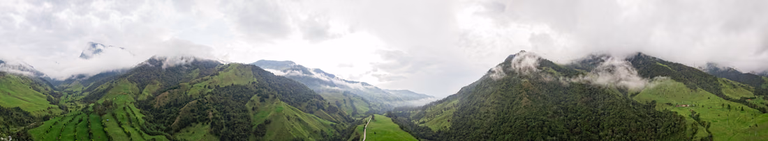 Aerial photography of the valley with the world's tallest wax palms