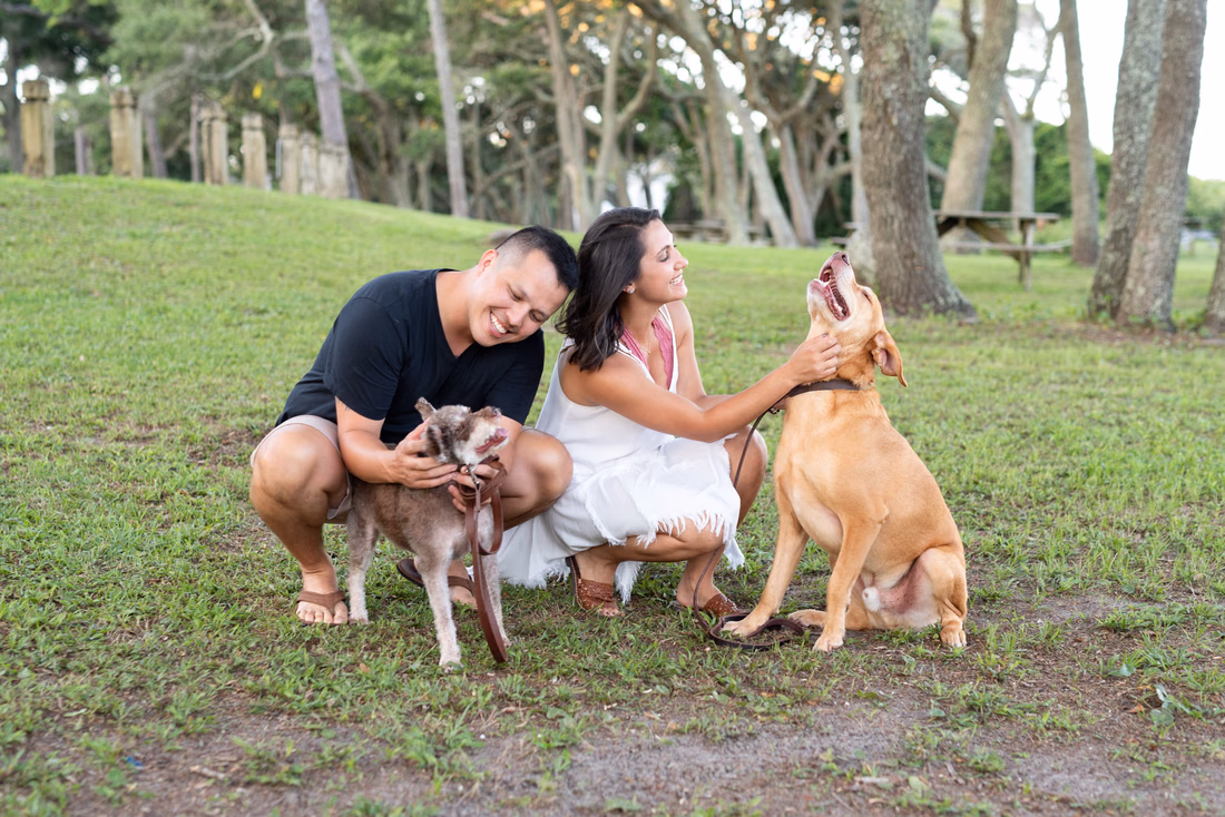 Engagement pictures with the dogs - Myrtle Beach State Park