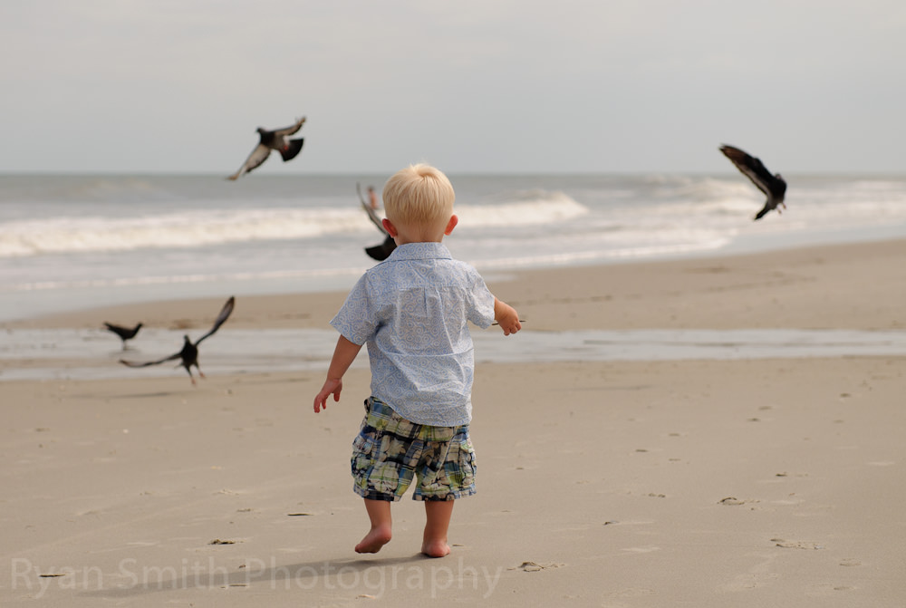 Little boy chasing seagulls in the MB State Park