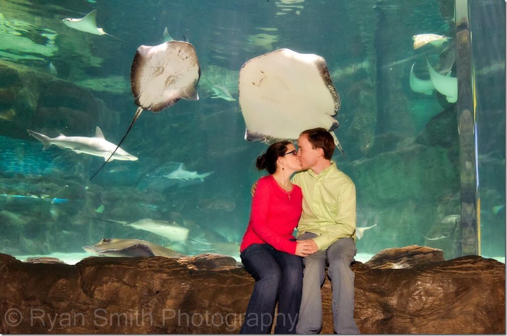 Kissing in front of the stingrays - Ripley's Aquarium - Myrtle Beach