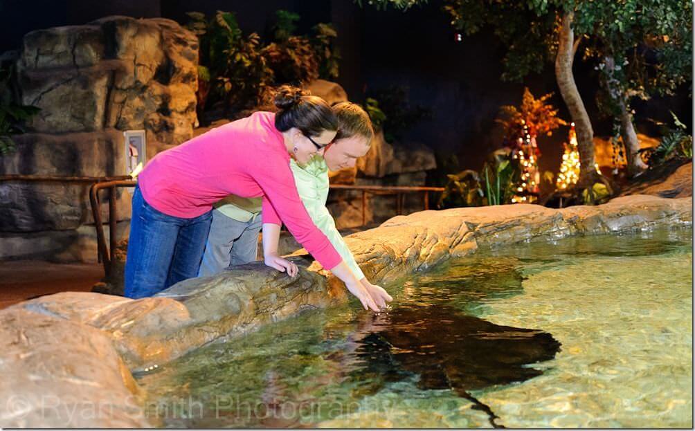 Touching a stingray -Ripley's Aquarium - Myrtle Beach