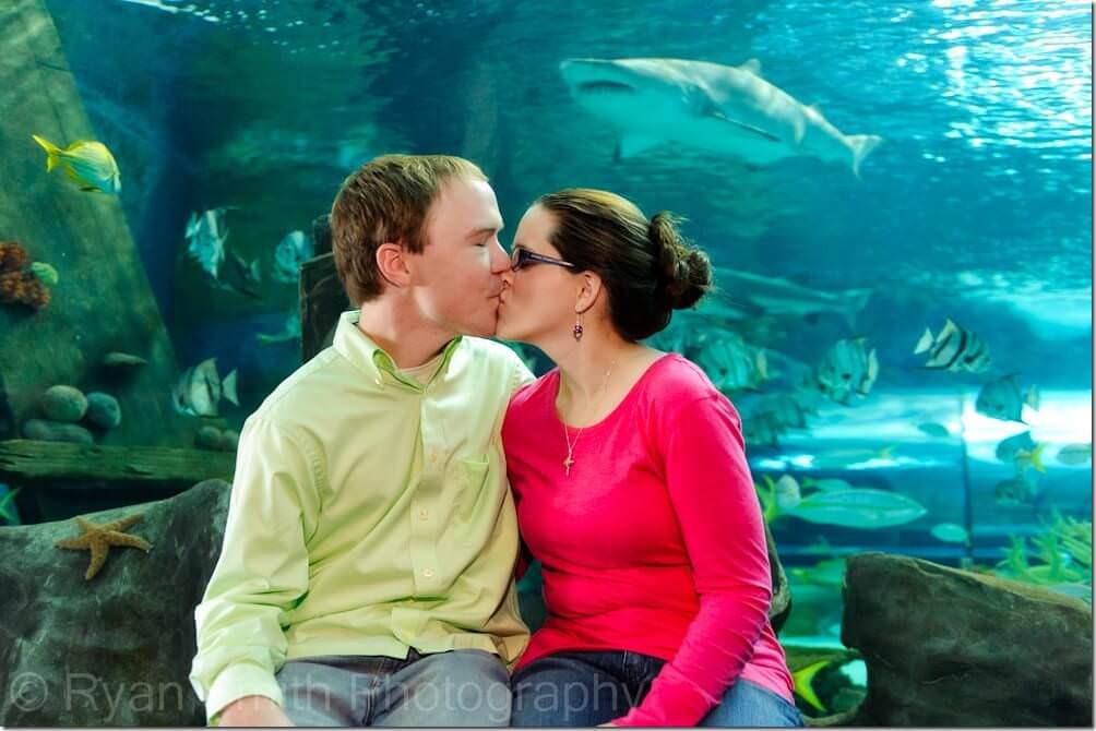 Shark - Ripley's Aquarium - Myrtle Beach