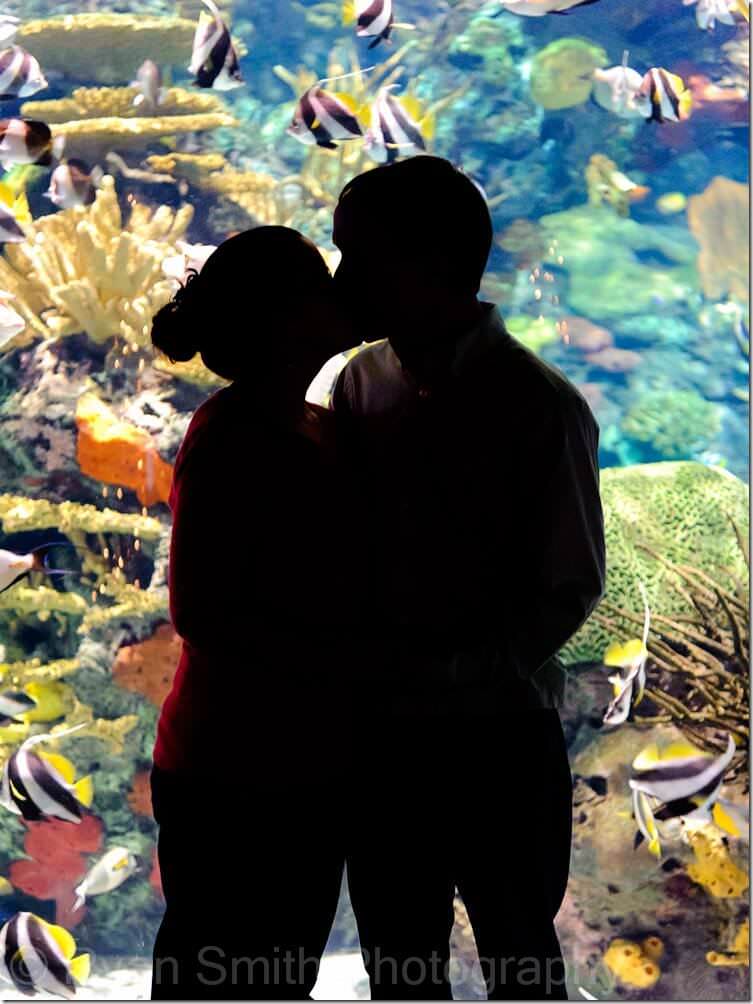 Silhouette by the aquarium tank - Ripley's Aquarium - Myrtle Beach