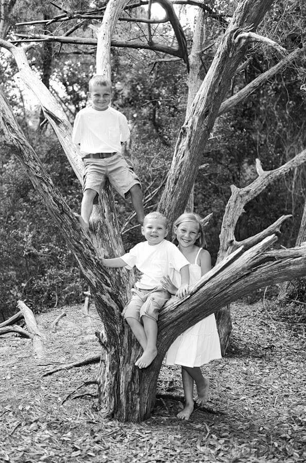 Kids climbing on the old tree - Myrtle Beach State Park