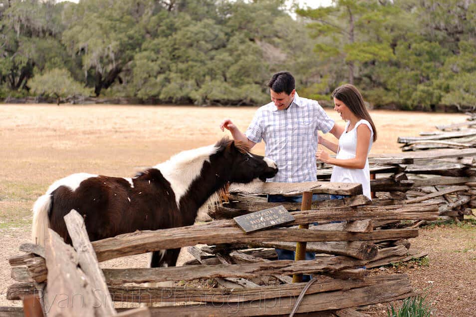 The sign says that horses may bite - Magnolia Plantation Charleston 