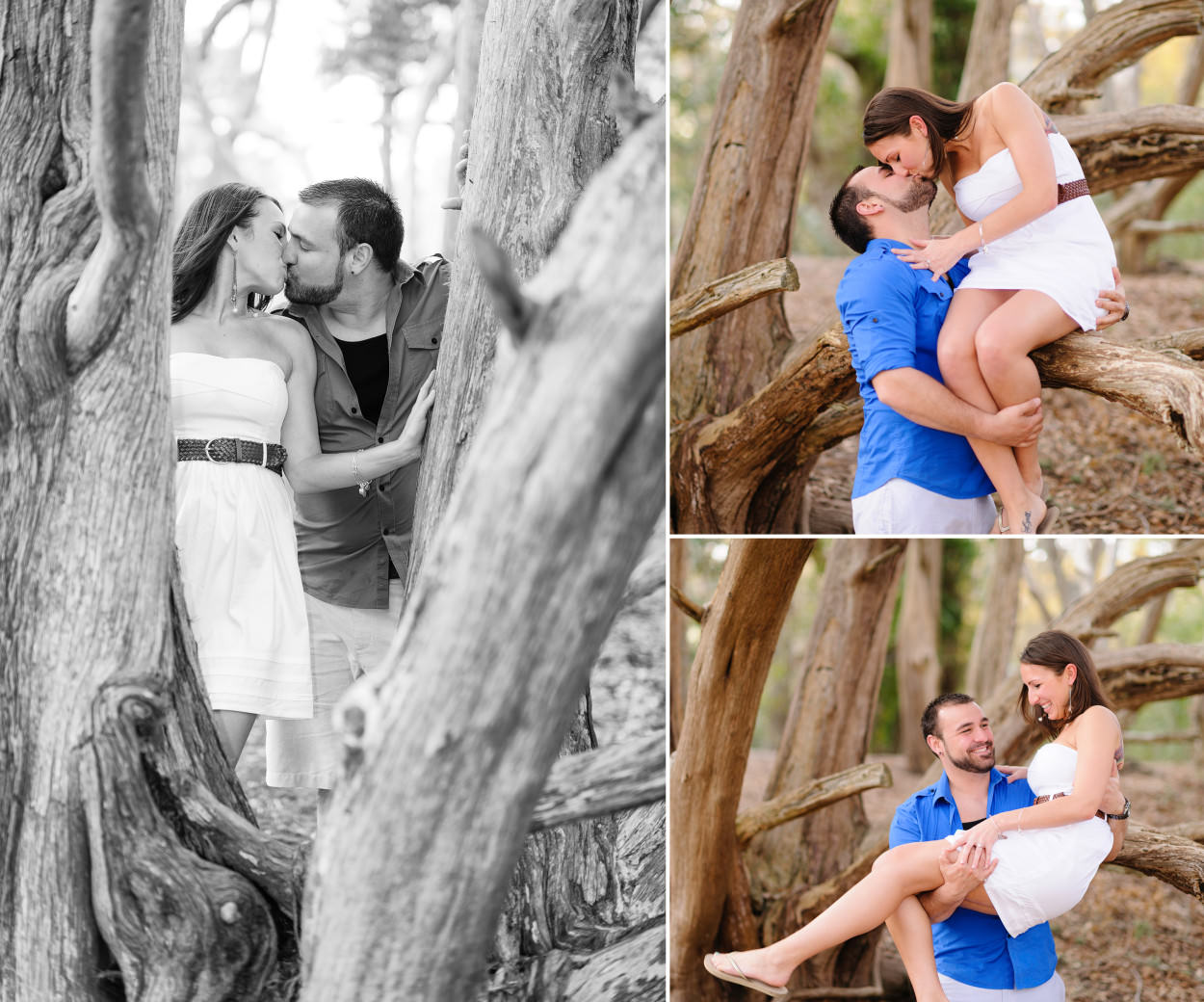Kiss through the oak tree in black and white - Engagement portrait