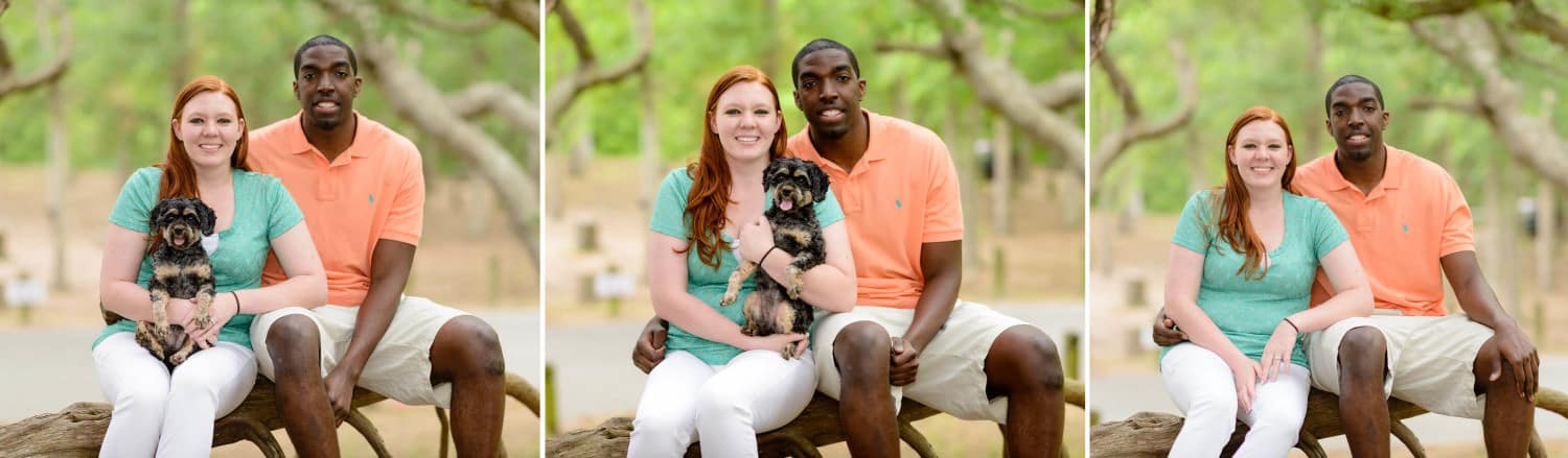 Couple sitting on the oak trees with thier dog at the Myrtle Beach State Park