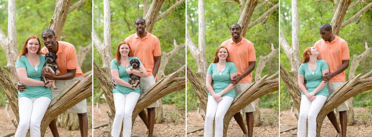 Couple with dog sitting in a tree
