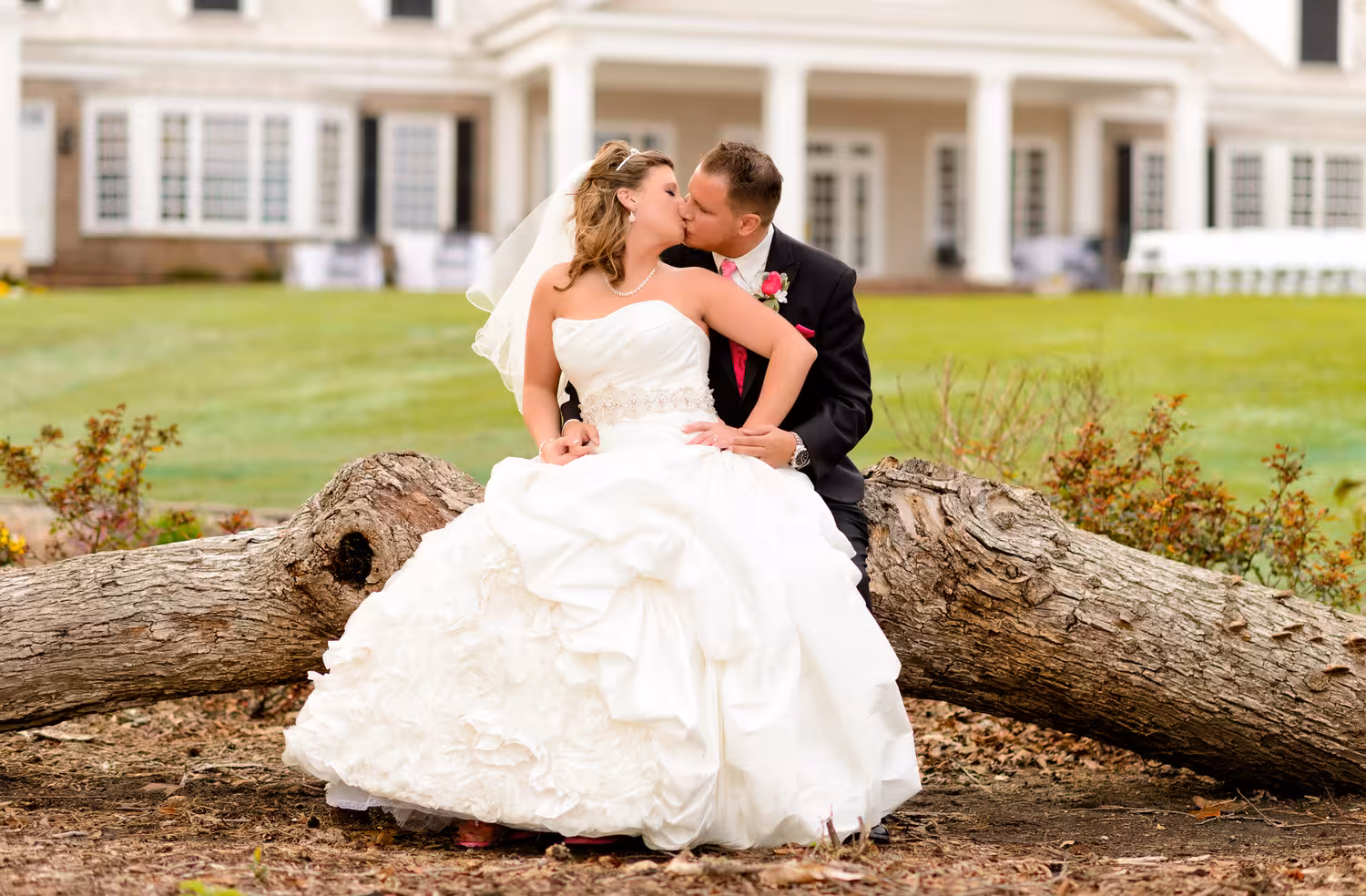 Couple kissing on the fallen tree