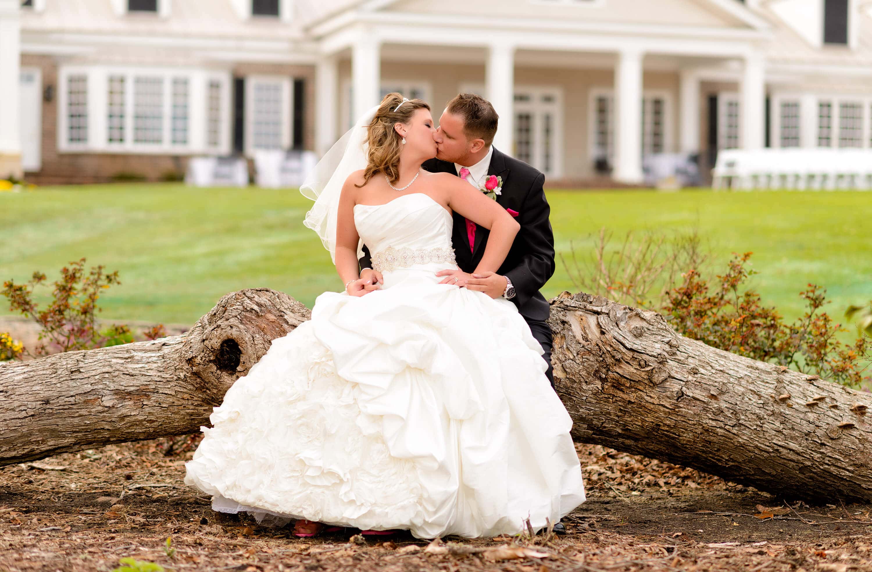 Couple kissing on the fallen tree