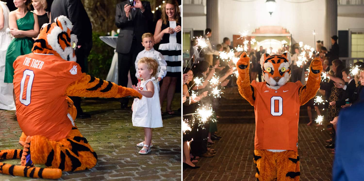 Clemson tiger walking through sparklers after wedding