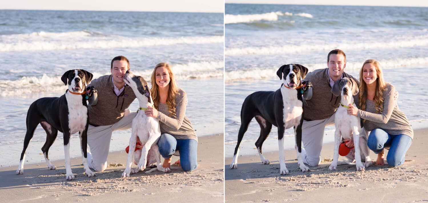 Couple in front of the ocean with their dogs