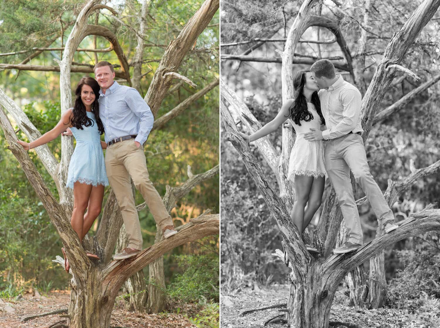 Black and white portrait of a couple kissing in a tree