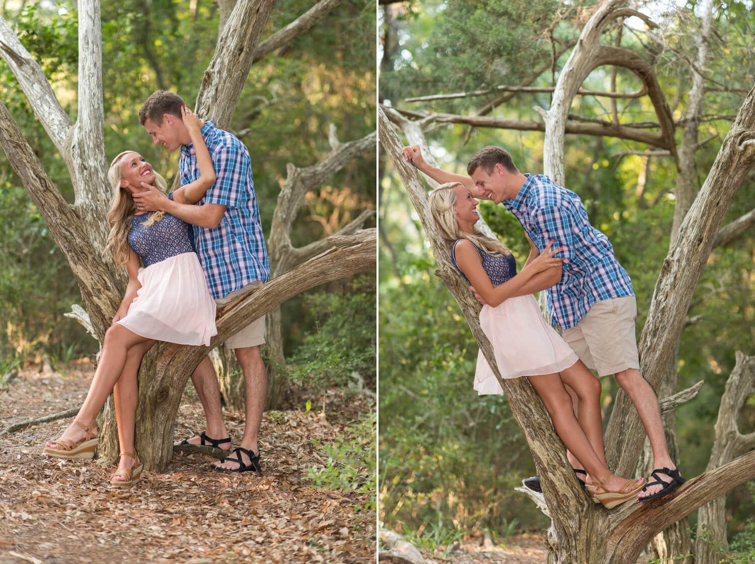 Young married couple doing fun pictures in a tree together