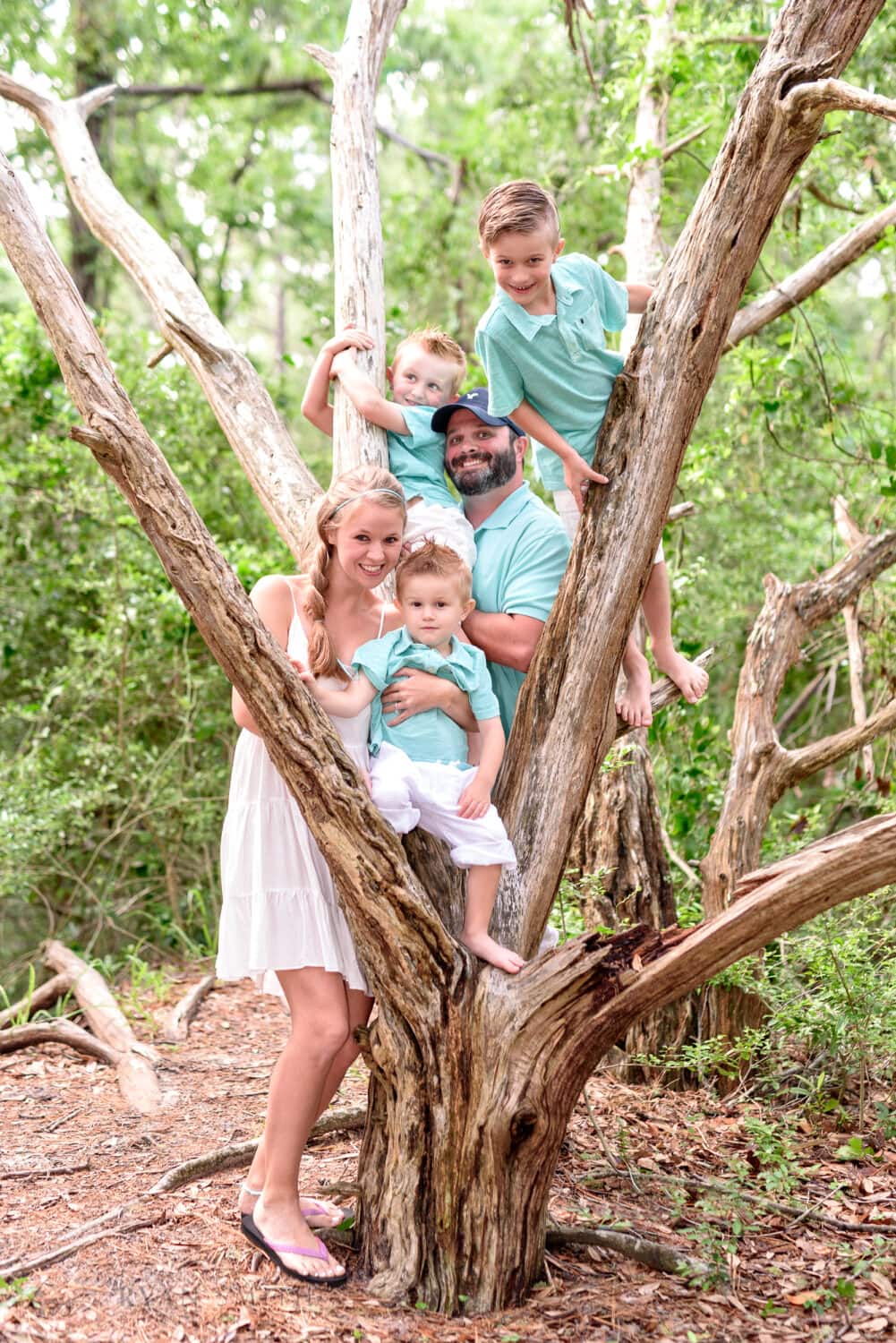 Family having fun in the old oak tree - Myrtle Beach State Park