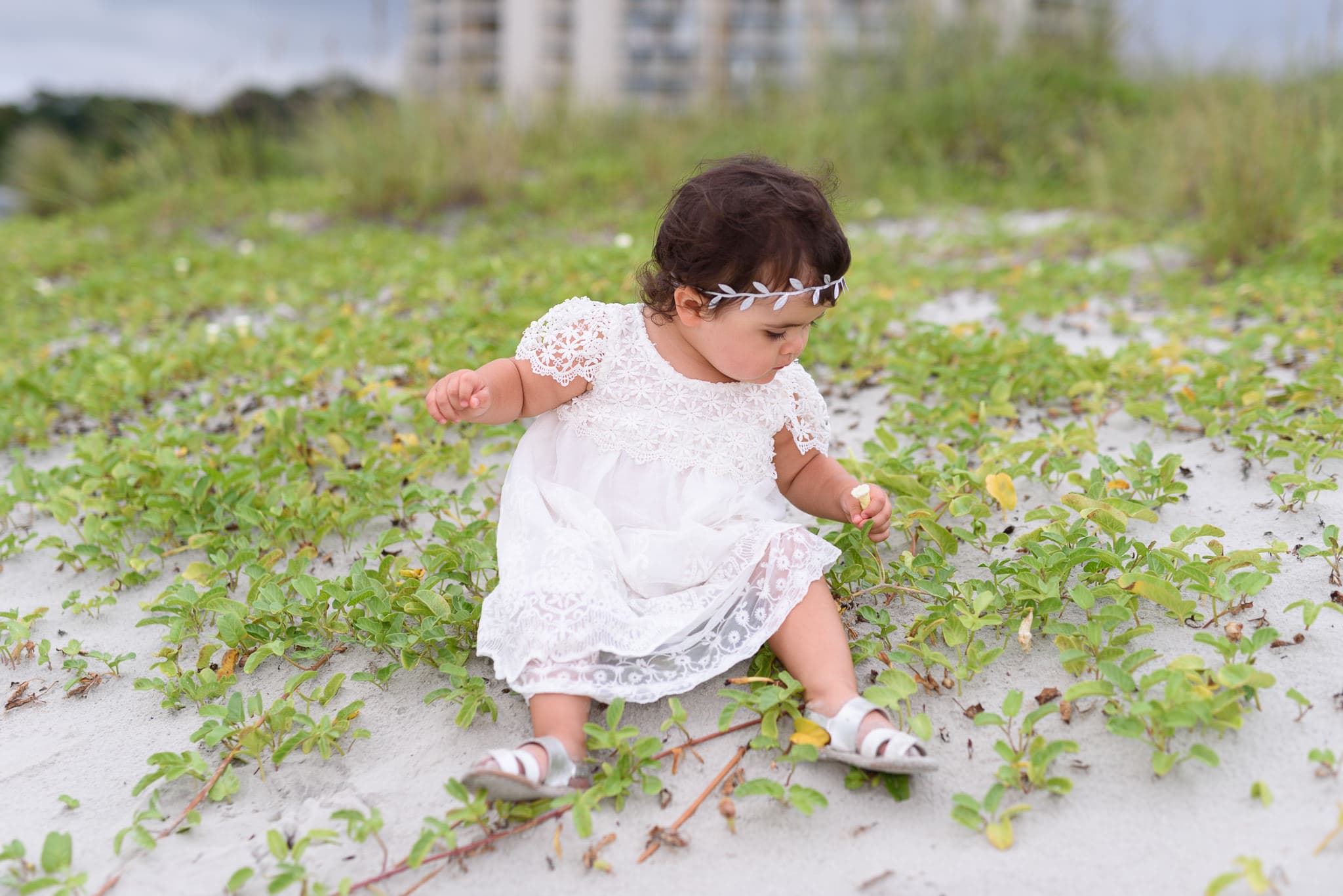 Baby girl looking at flower - North Beach Plantation