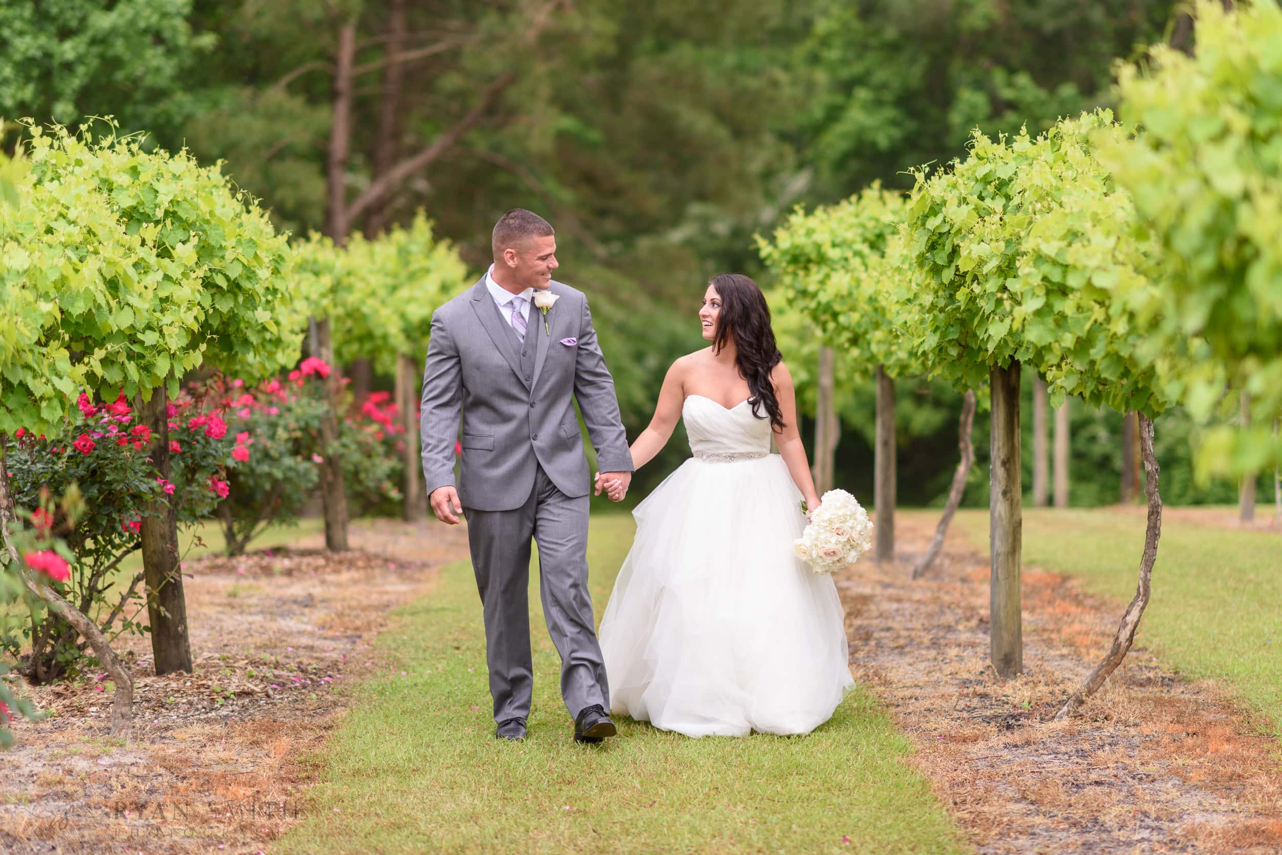 Bride and groom walking together in the grape vines - La Belle Amie Vineyard