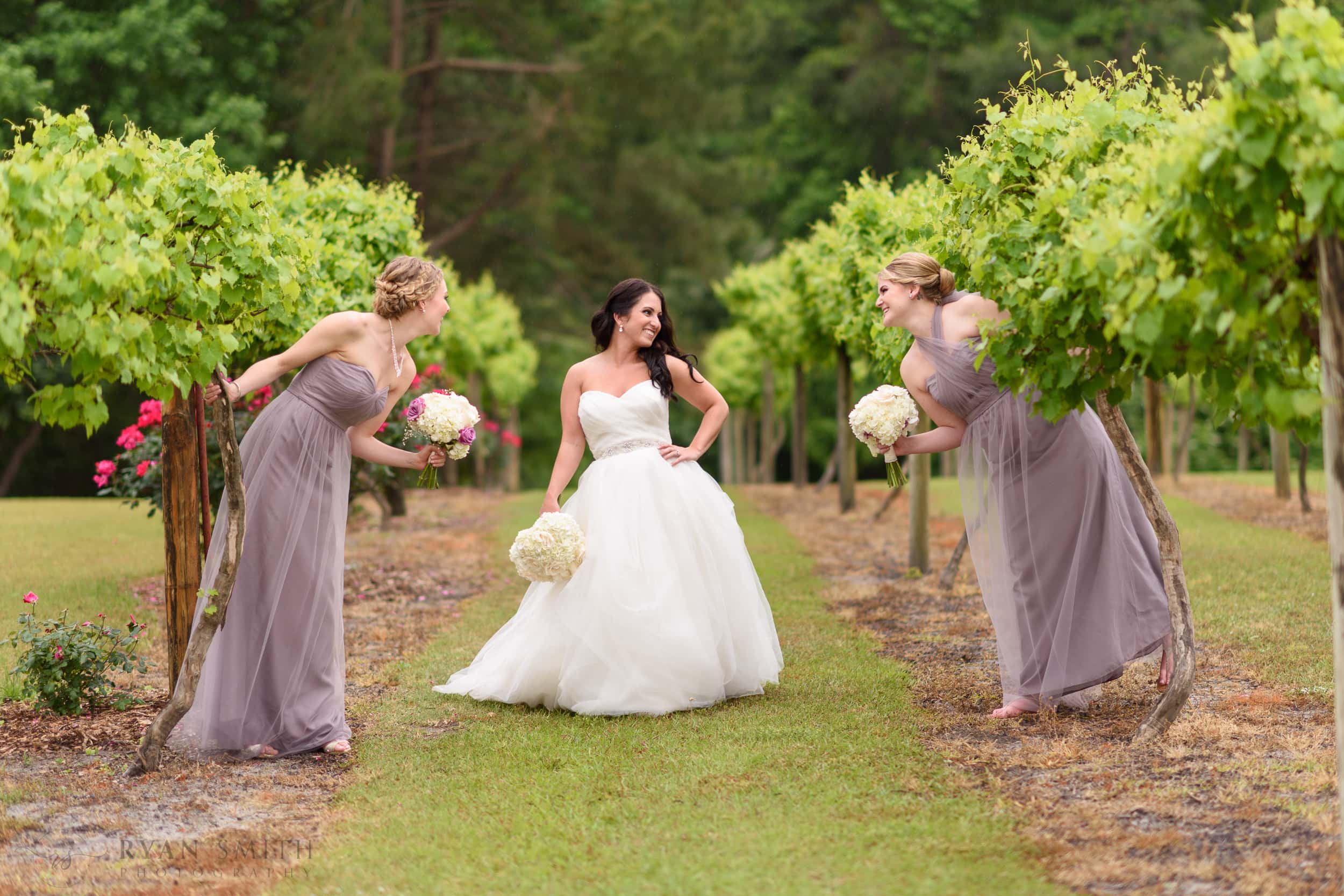 Bridesmaids taking fun pictures in the grape vines - La Belle Amie Vineyard