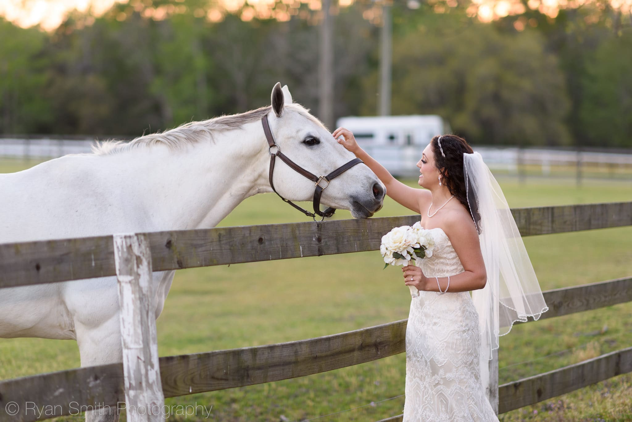 Horse coming over to meet the bride - Upper Mill Plantation