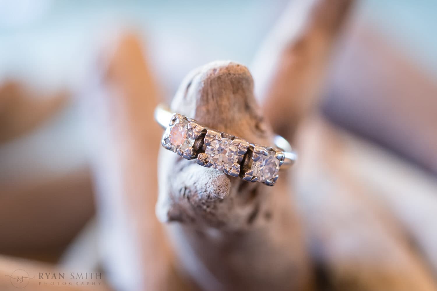 Closeup of ring sitting on a branch -