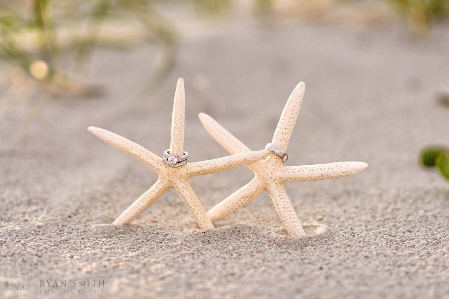 Rings sitting on startfish in the sand - Grande Dunes Ocean Club