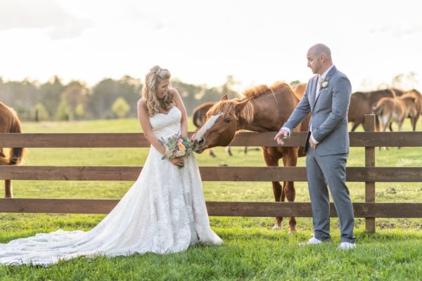 Horse trying to eat the bride's bouquet  - Wildhorse at Parker Farms