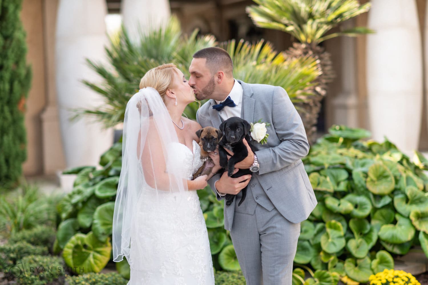 Bride and groom kissing with the puppies - 21 Main Events - North Myrtle Beach