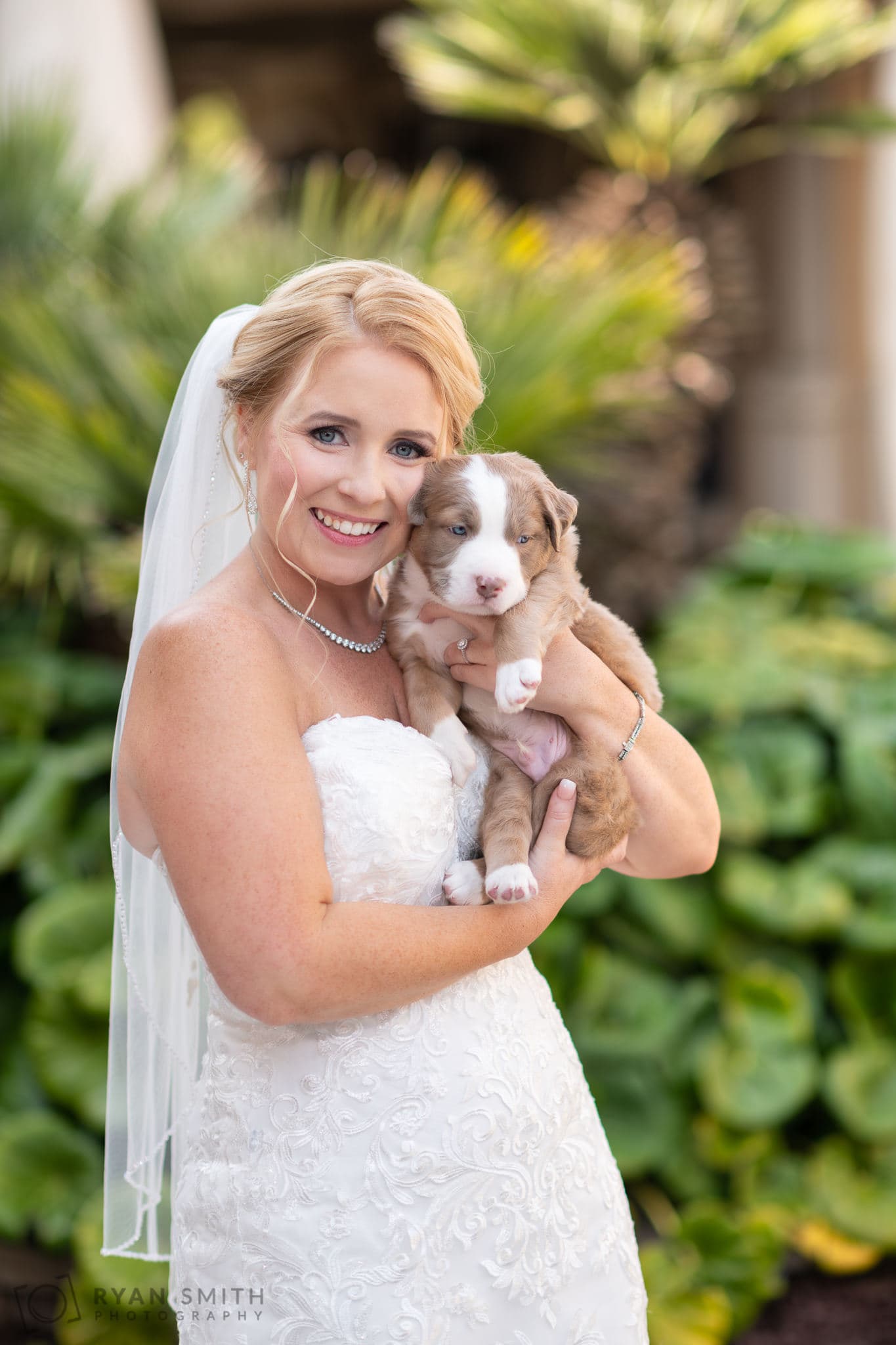 Bride holding cutest puppy - 21 Main Events - North Myrtle Beach
