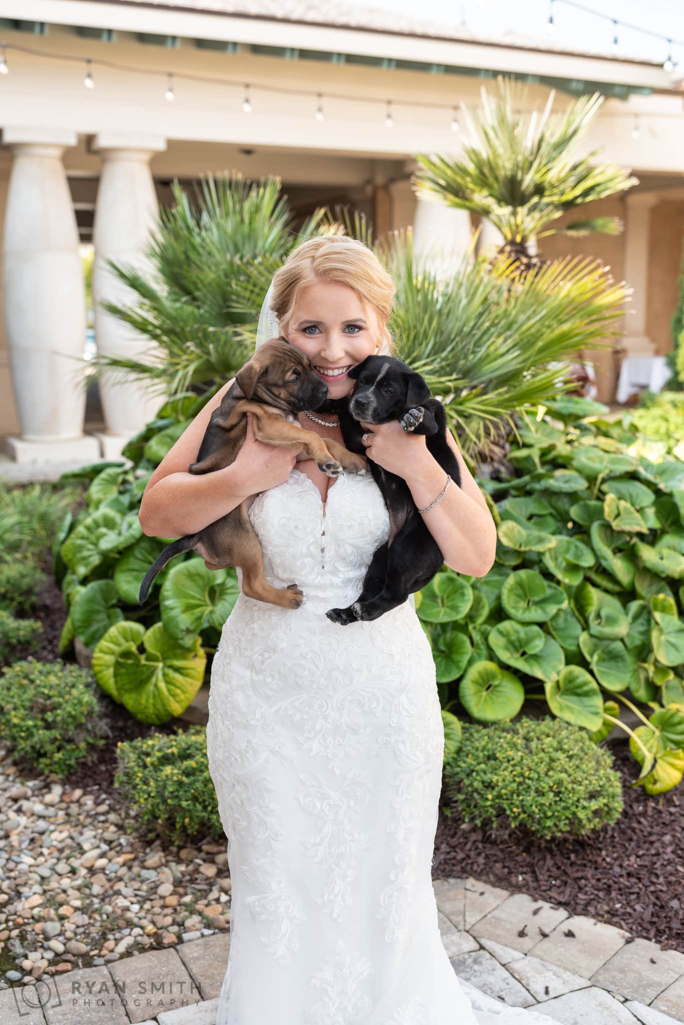 Bride holding two puppies - 21 Main Events - North Myrtle Beach