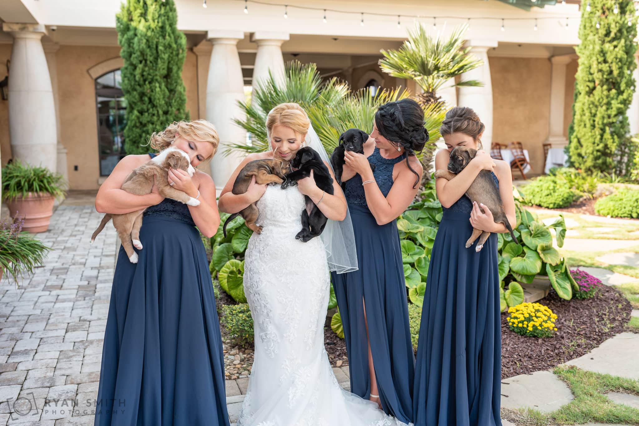 Bridesmaids snuggling the puppies - 21 Main Events - North Myrtle Beach