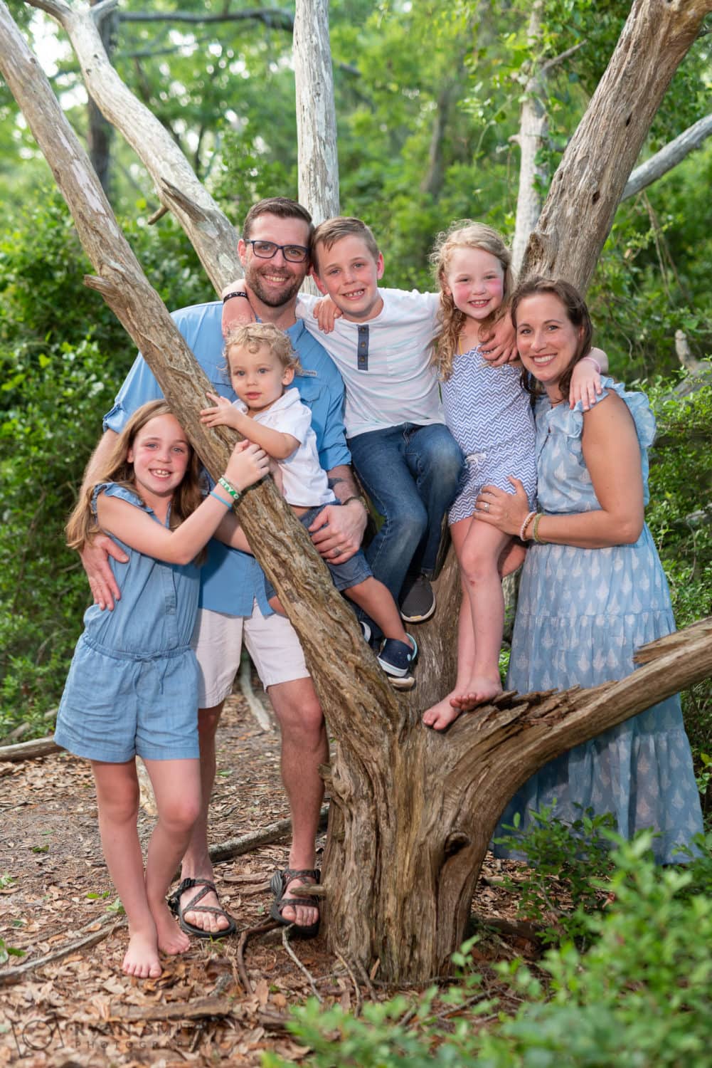 Family photos by the old oak trees - Myrtle Beach State Park