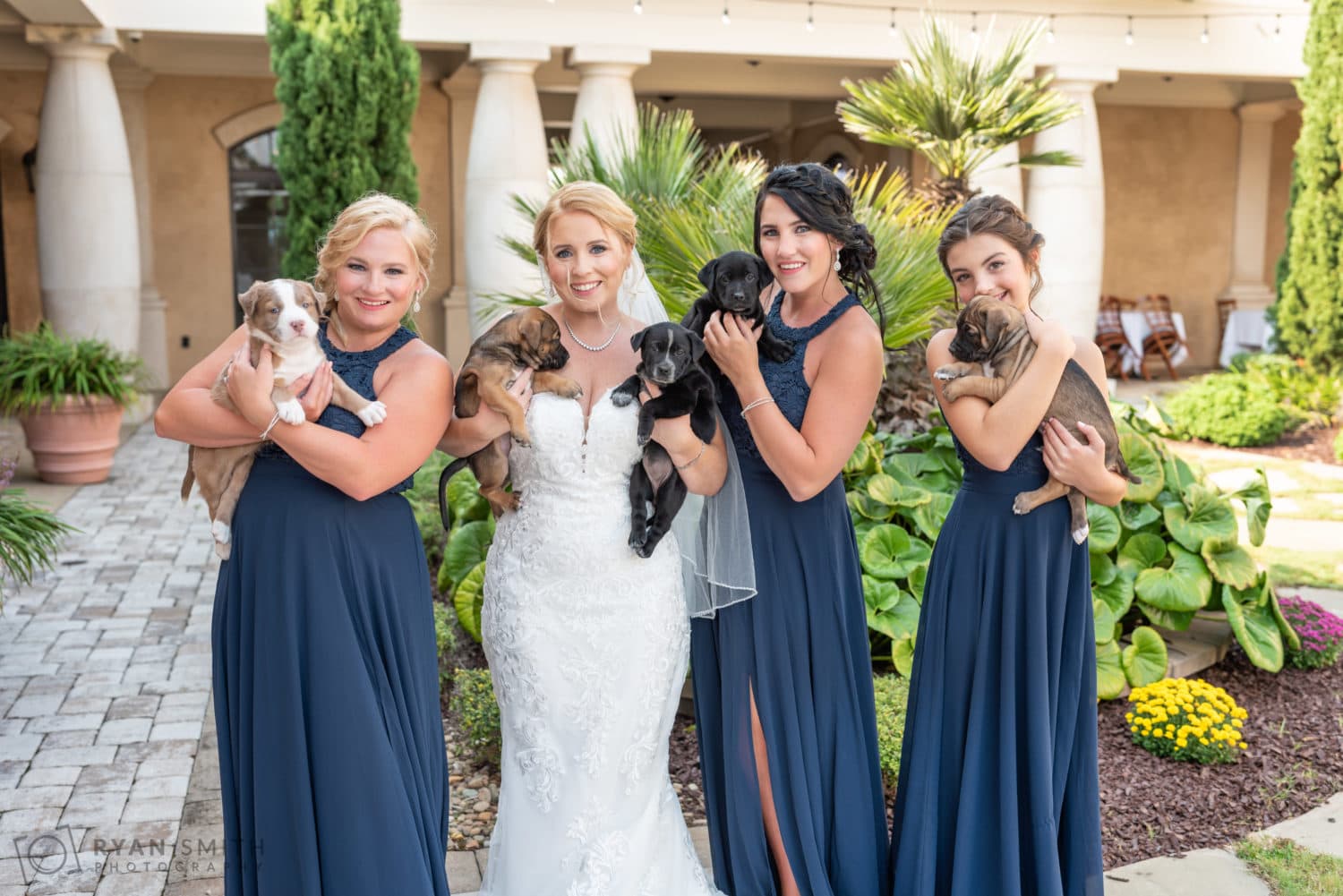 Bridesmaids holding puppies - Tamron SP 35mm f/1.4 Nikon - Aperture set at f/2.8 - Conway Riverwalk